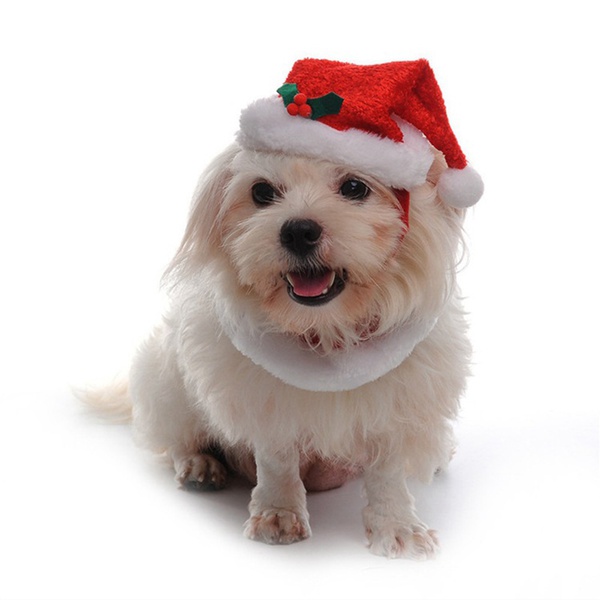 Pet Christmas Hat